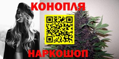 спиды Камышлов