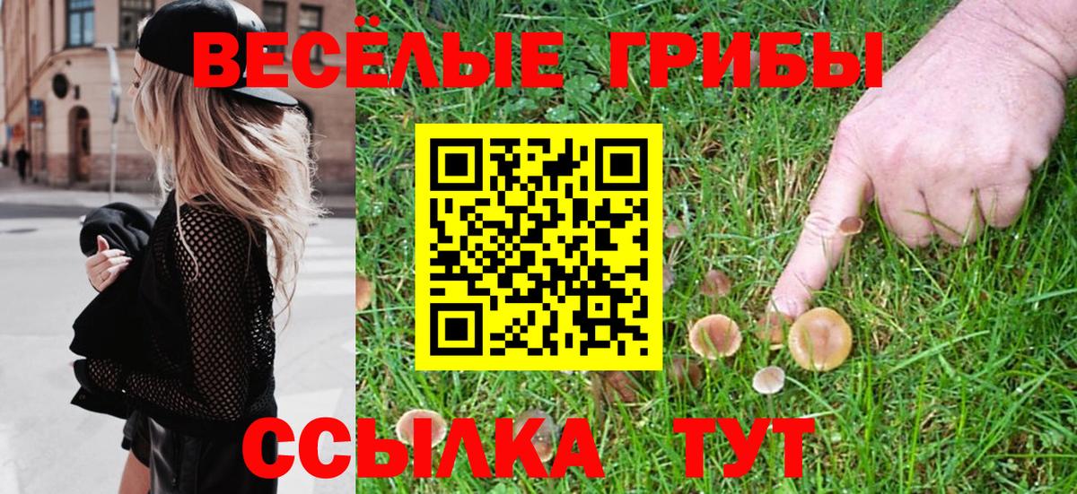 Кудрово  Галлюциногенные грибы MAGIC MUSHROOMS  Вход с VPN  Галлюциногенные грибы Cubensis 